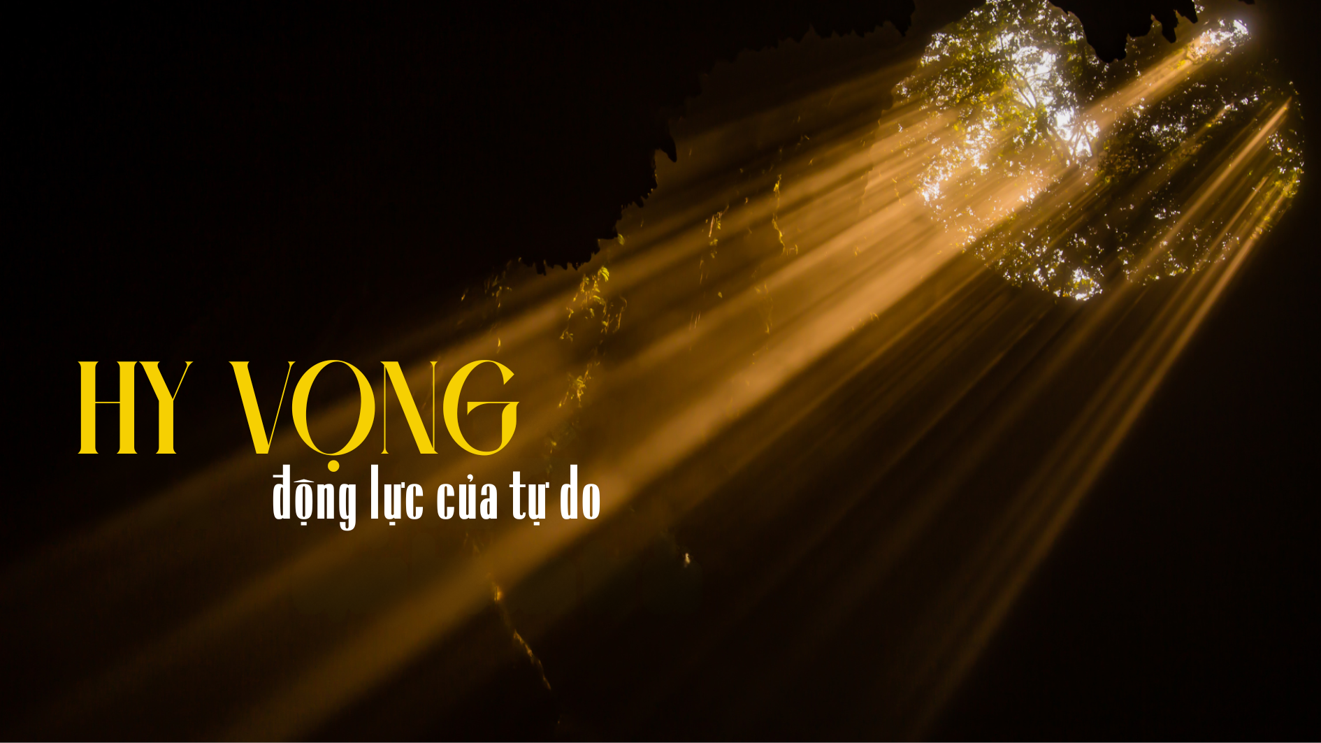 Hy vọng, động lực của tự do